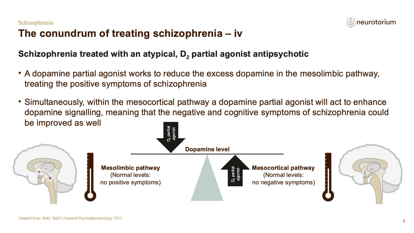 Schizophrenia – Neurobiology and Aetiology – slide 30